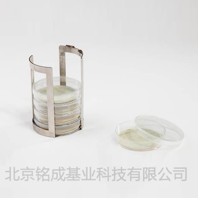 百灵达微生物培养盘